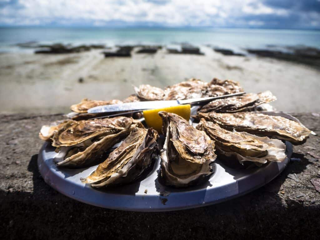Journée sur la bassin d'Arcachon avec dégustations d'huîtres