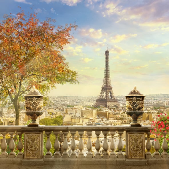 Panorama parisien. France.