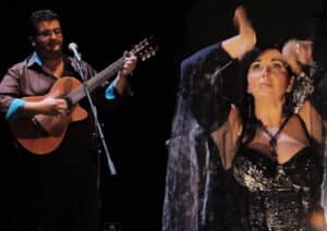 entretenimiento flamenco gitano