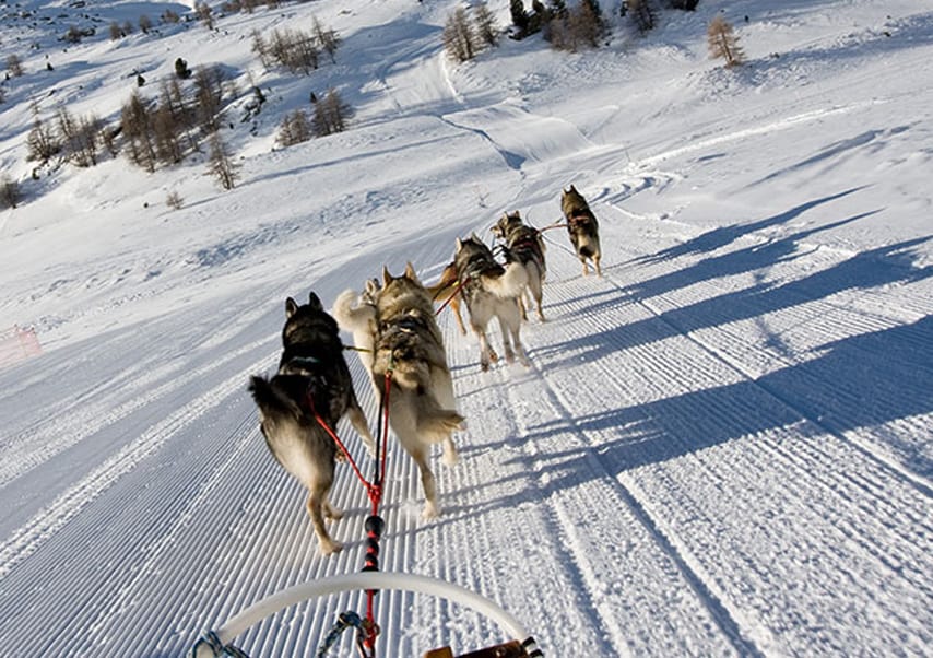 multi-activity day in Andorra sleigh ride