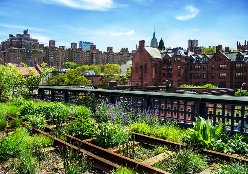 seminaire new york high line