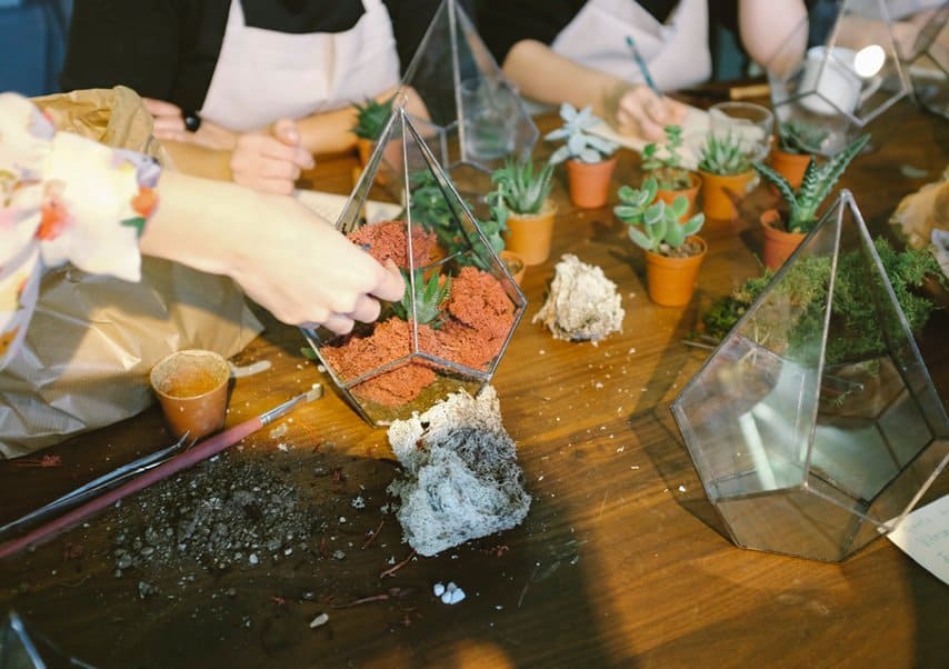 creación de un terrario de team building