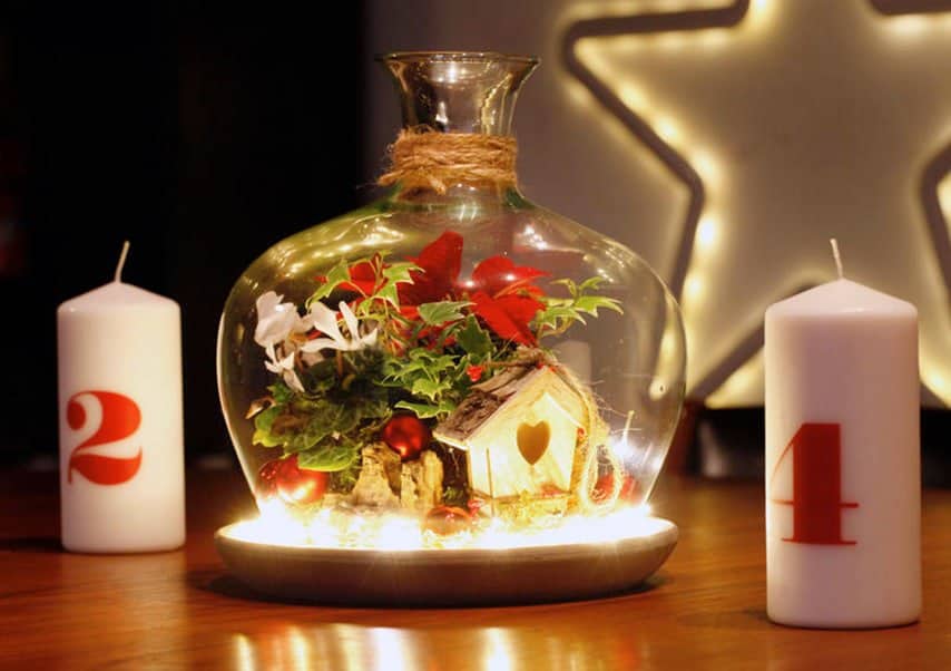 team building creation de terrarium noel