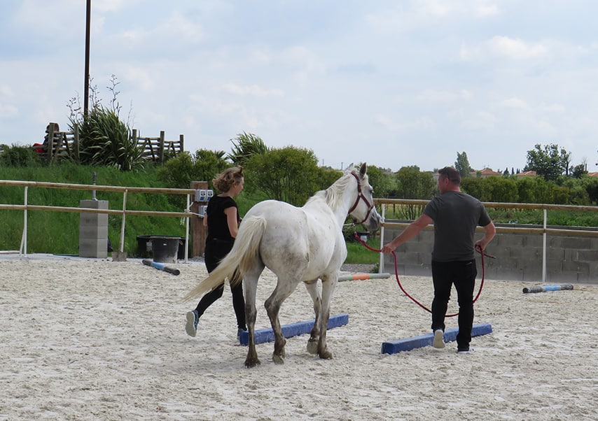 team building horse riding toulouse