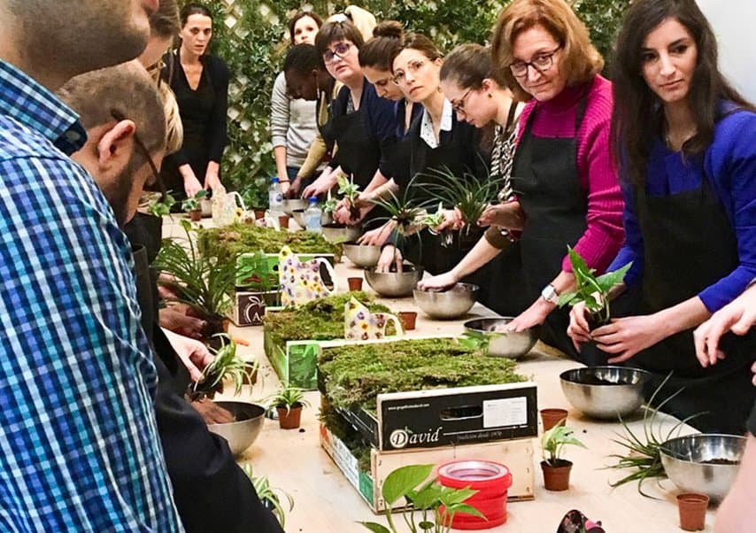 team building vegetal kokedama