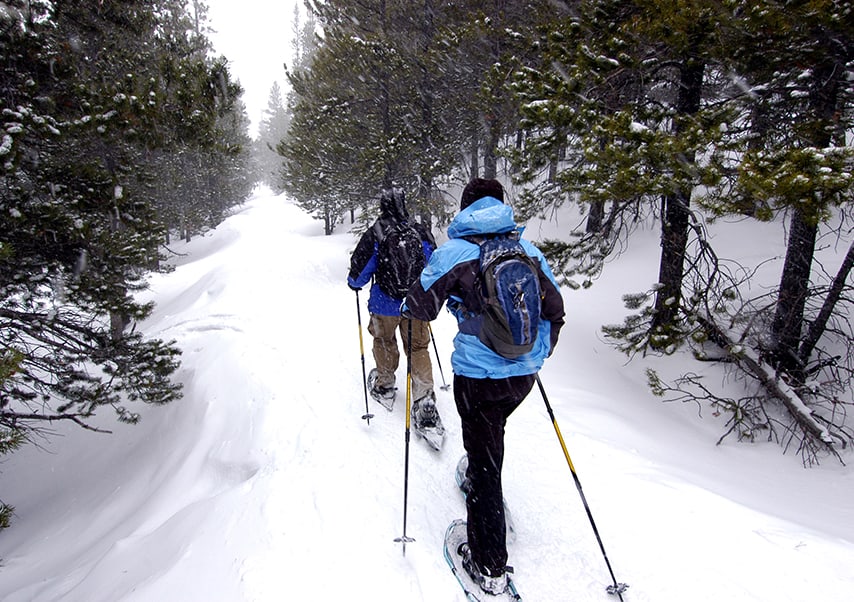 incentivo raquetas de nieve pirineos