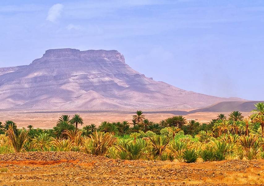 travel company desert morocco draa