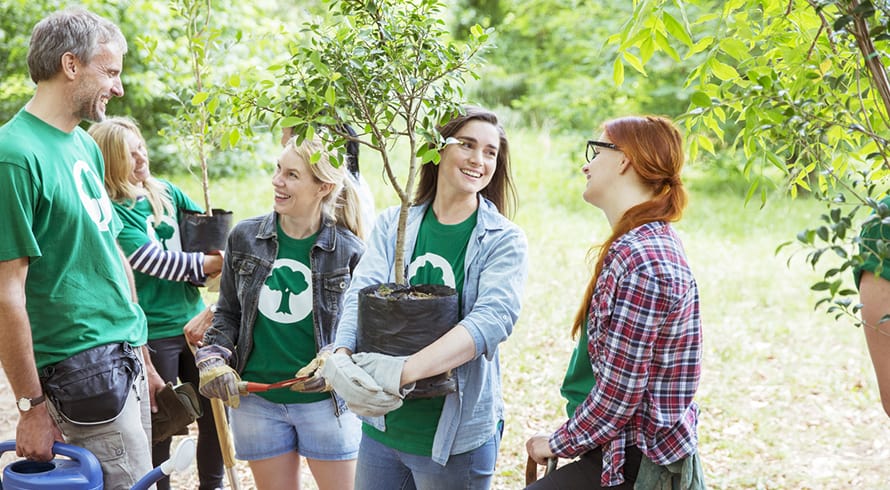 Des bénévoles d'une entreprise plantent de nouveaux arbres pour un team building RSE