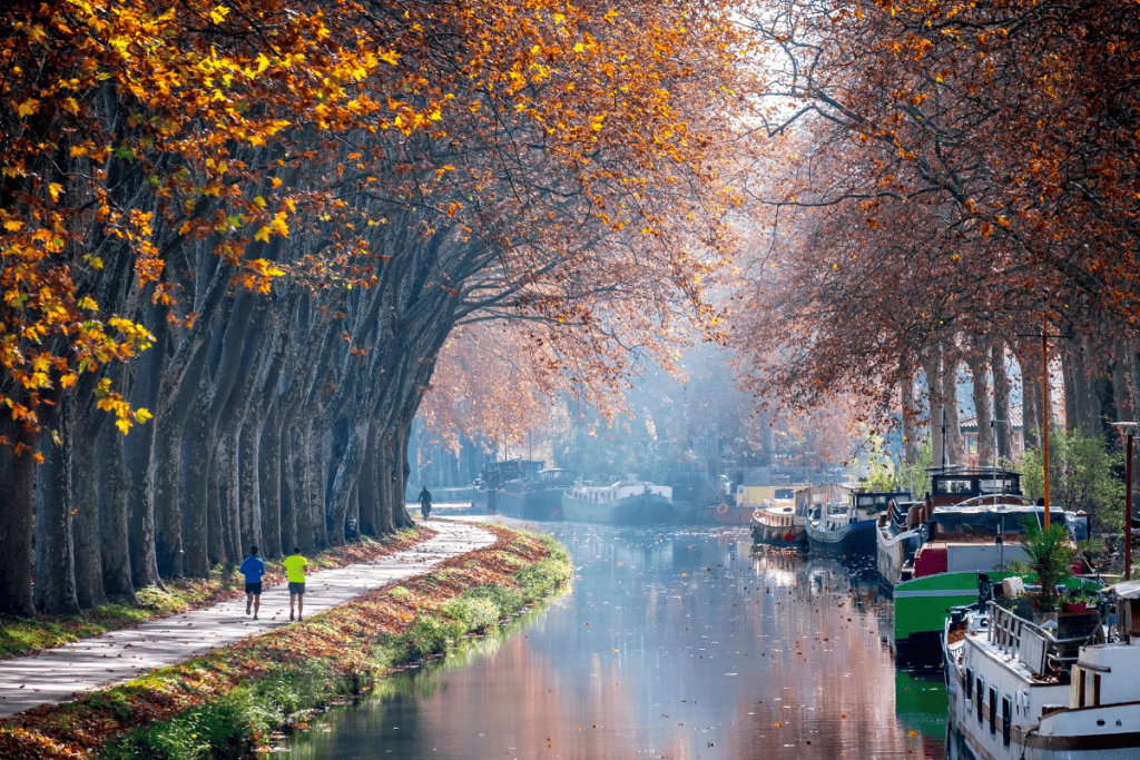 Crucero por el Canal del Mediodía en Toulouse