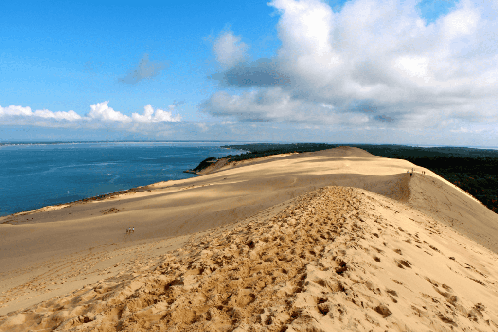 Excursion à la dune du pilat à côté de Bordeaux