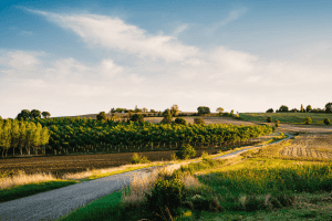 Route dans la campagne du Gers