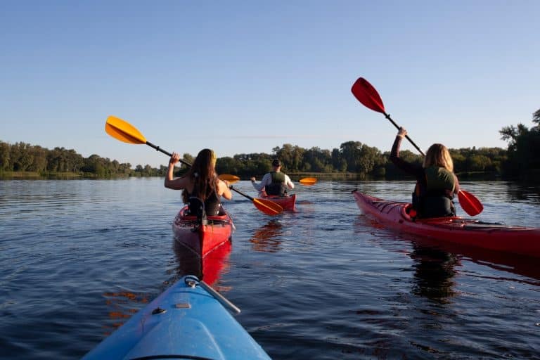 Groupe de personnes en team building canoe kayak sur une rivière