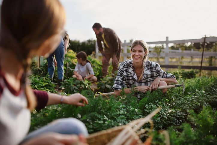 Jeunes et vieux agriculteurs ou jardiniers heureux travaillant à l'extérieur dans une ferme communautaire.