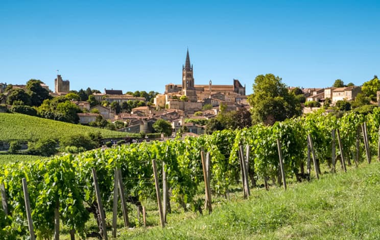 Vignobles dans la ville de Saint-Emilion, France