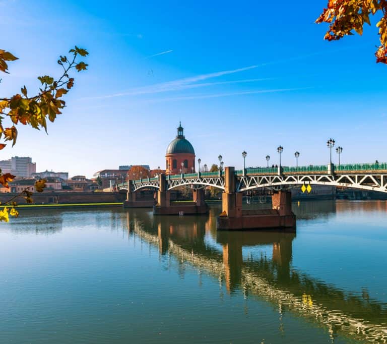 City of Toulouse with the Pont neuf bridge.