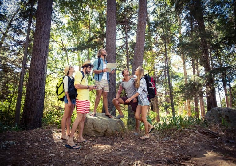 Collègues de bureau en train de faire un team building outdoor en fôret.