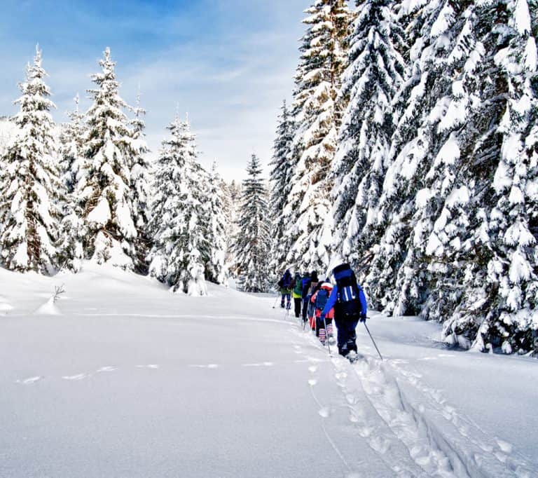 andonnée en raquettes à travers la forêt
