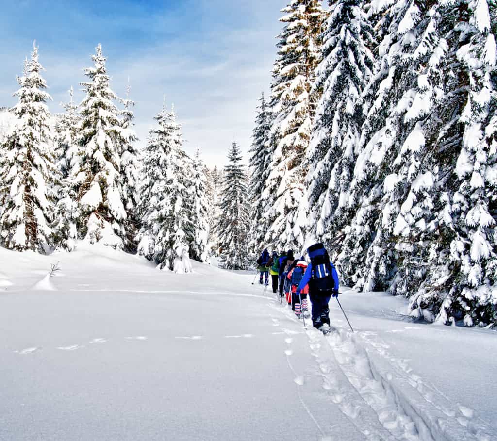 andonnée en raquettes à travers la forêt